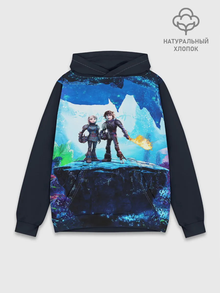 Худи мужской база хлопок / Как приручить Дракона 3