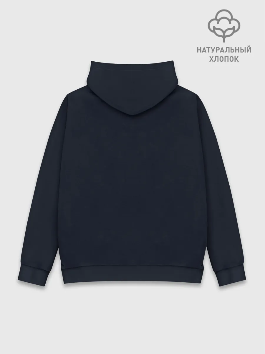 Худи мужской база хлопок / Как приручить Дракона 3