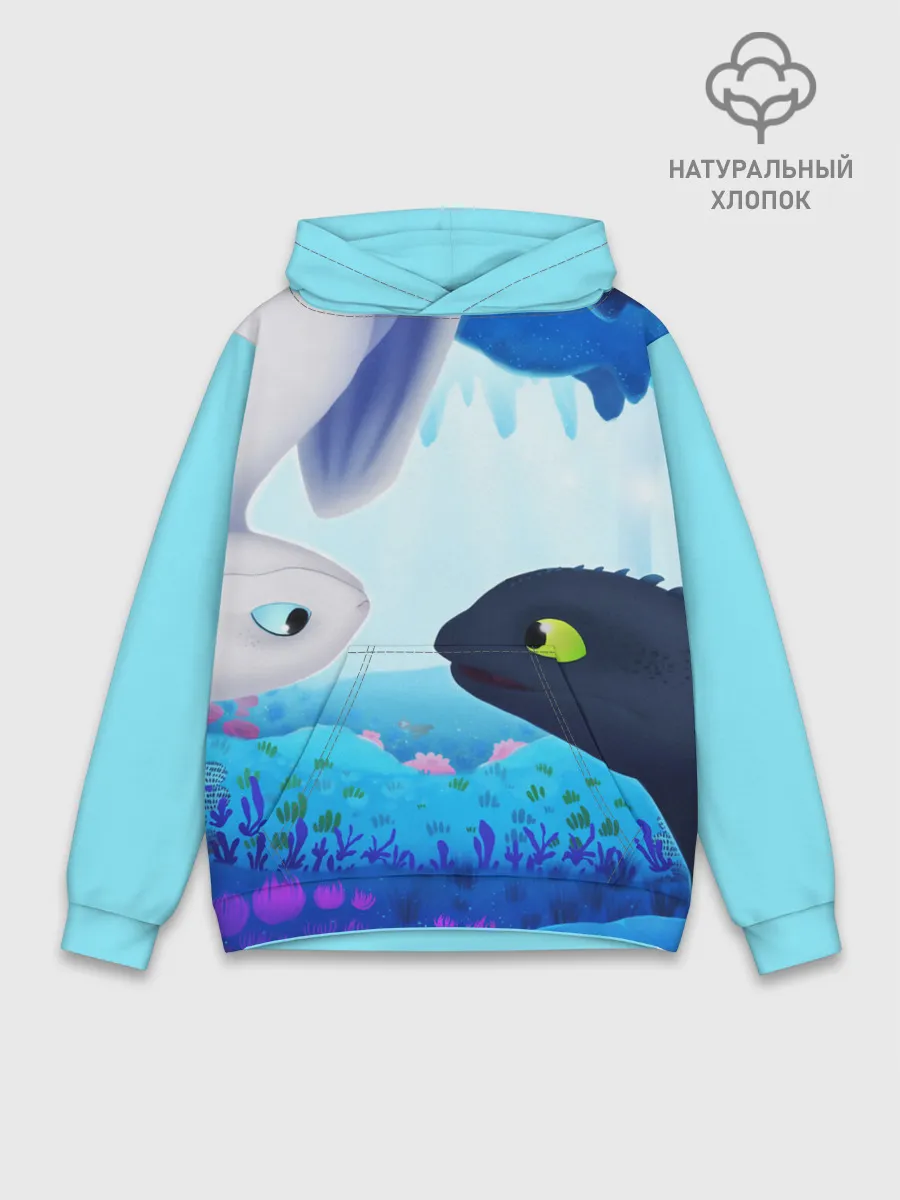 Худи мужской база хлопок / Приручить Дракона