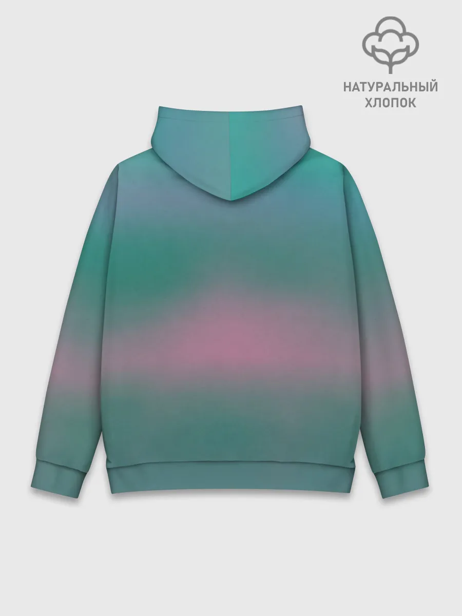 Худи мужской база хлопок / Icebear