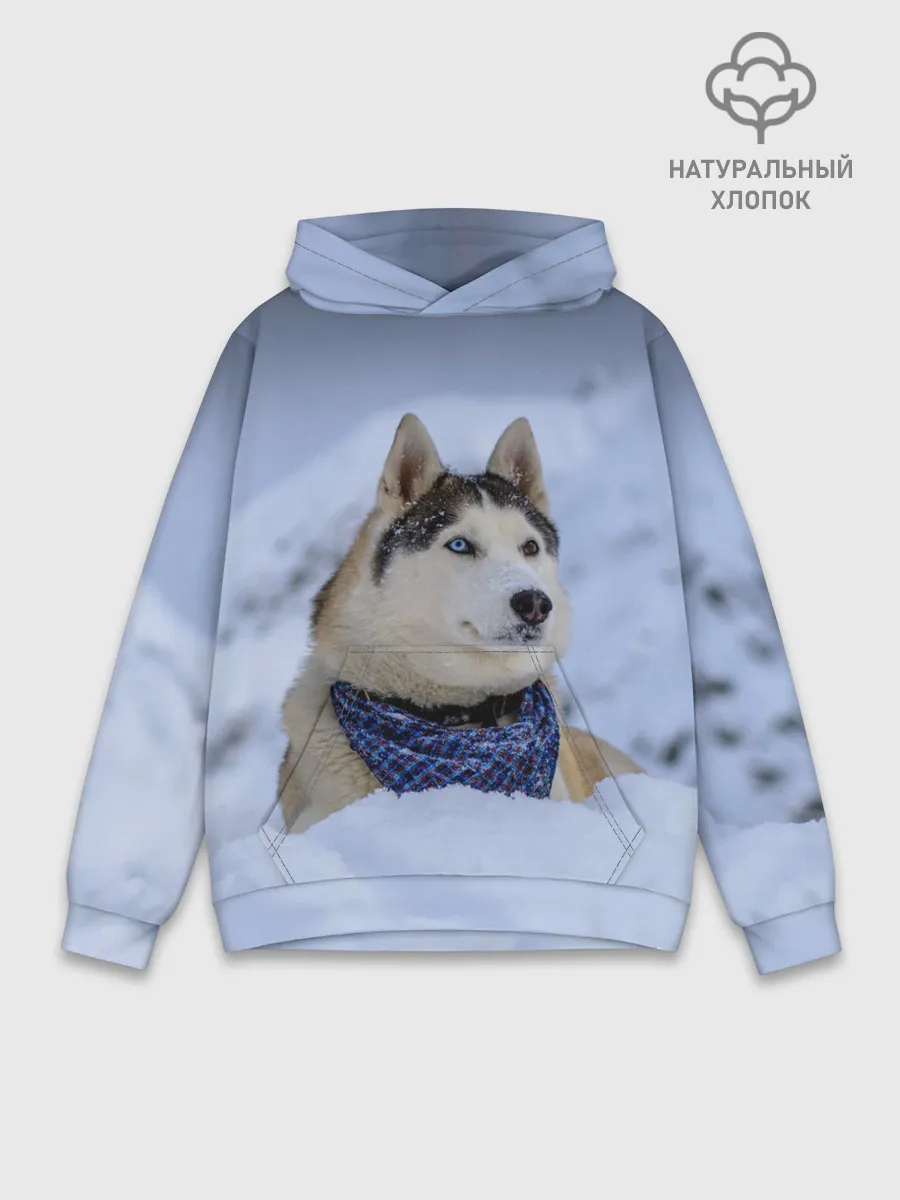 Худи мужской база хлопок / Хаски