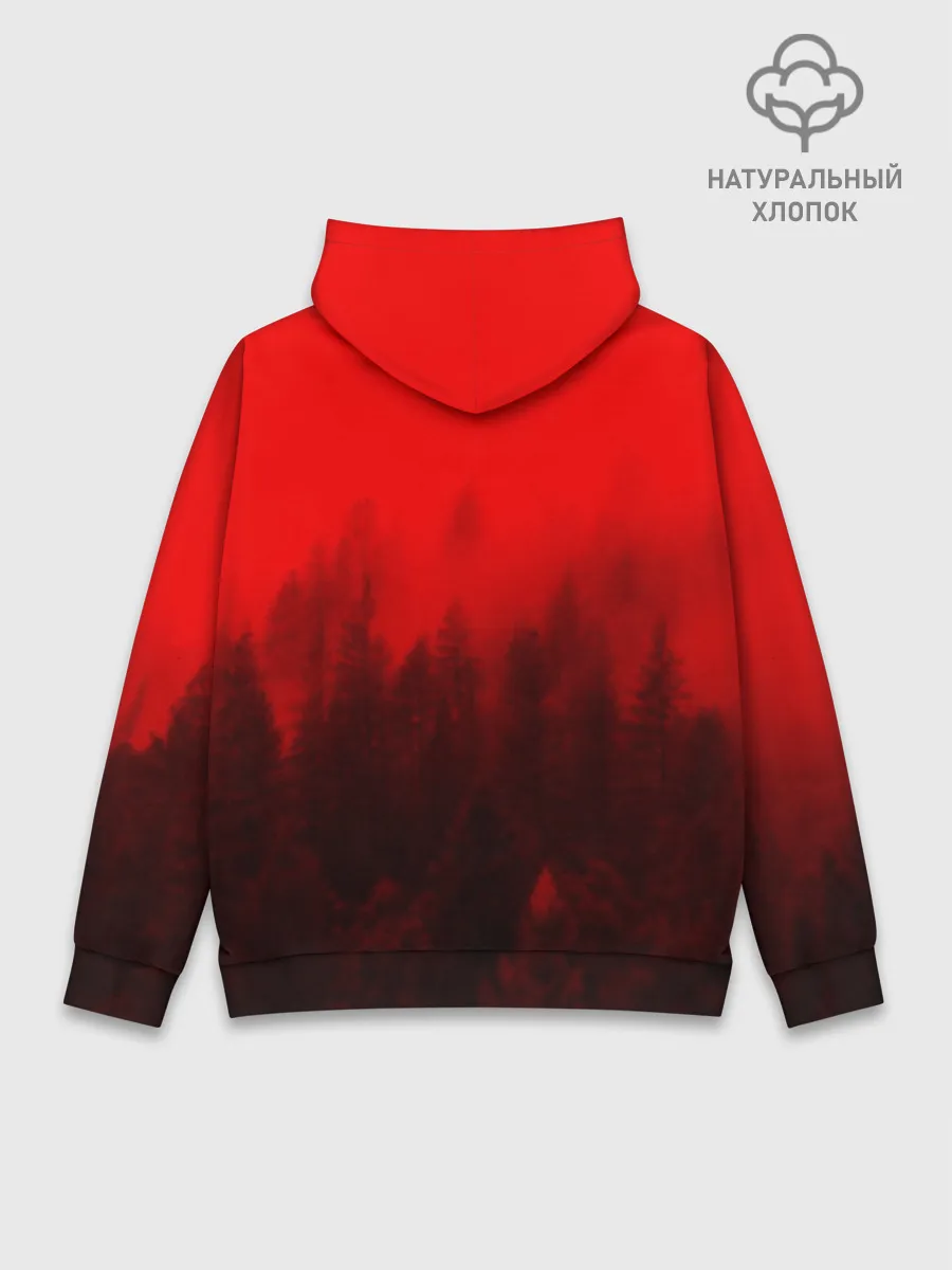 Худи мужской база хлопок / Twin Peaks