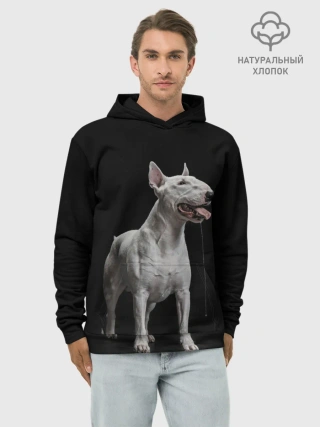 Худи мужской база хлопок / Bully