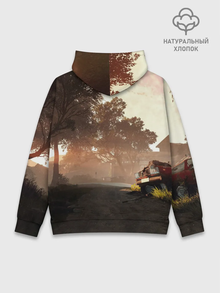 Худи мужской база хлопок / PUBG