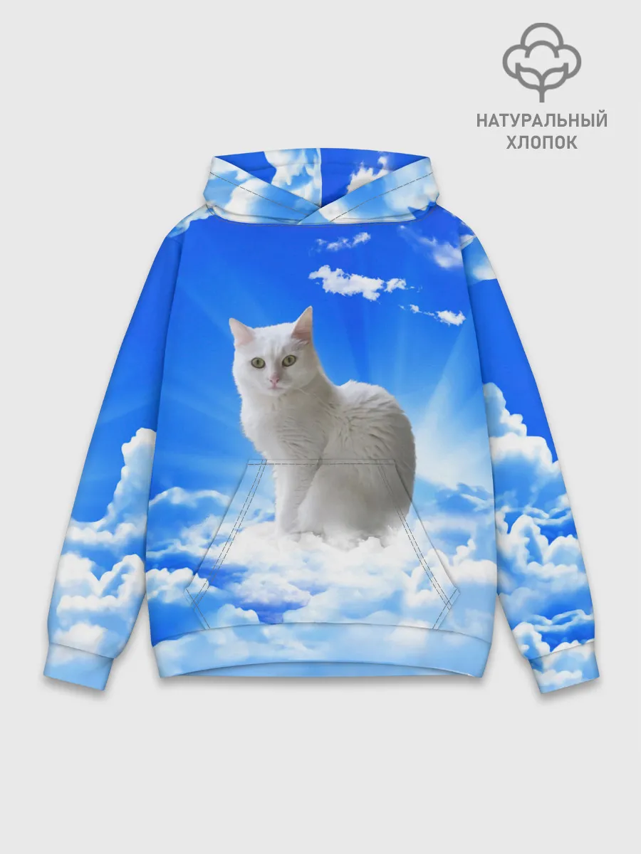 Худи мужской база хлопок / Кот в облаках