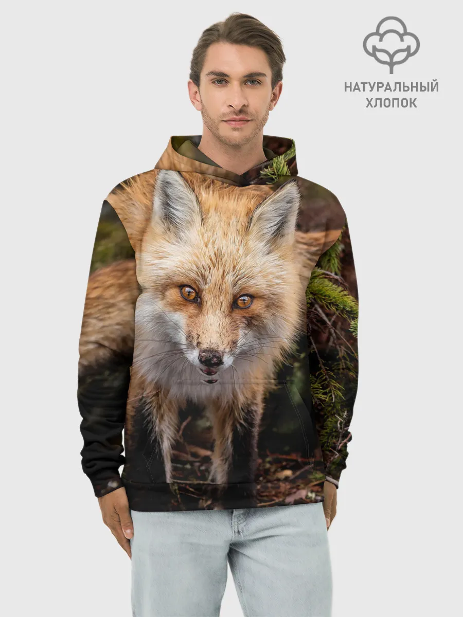 Худи мужской база хлопок / Лиса