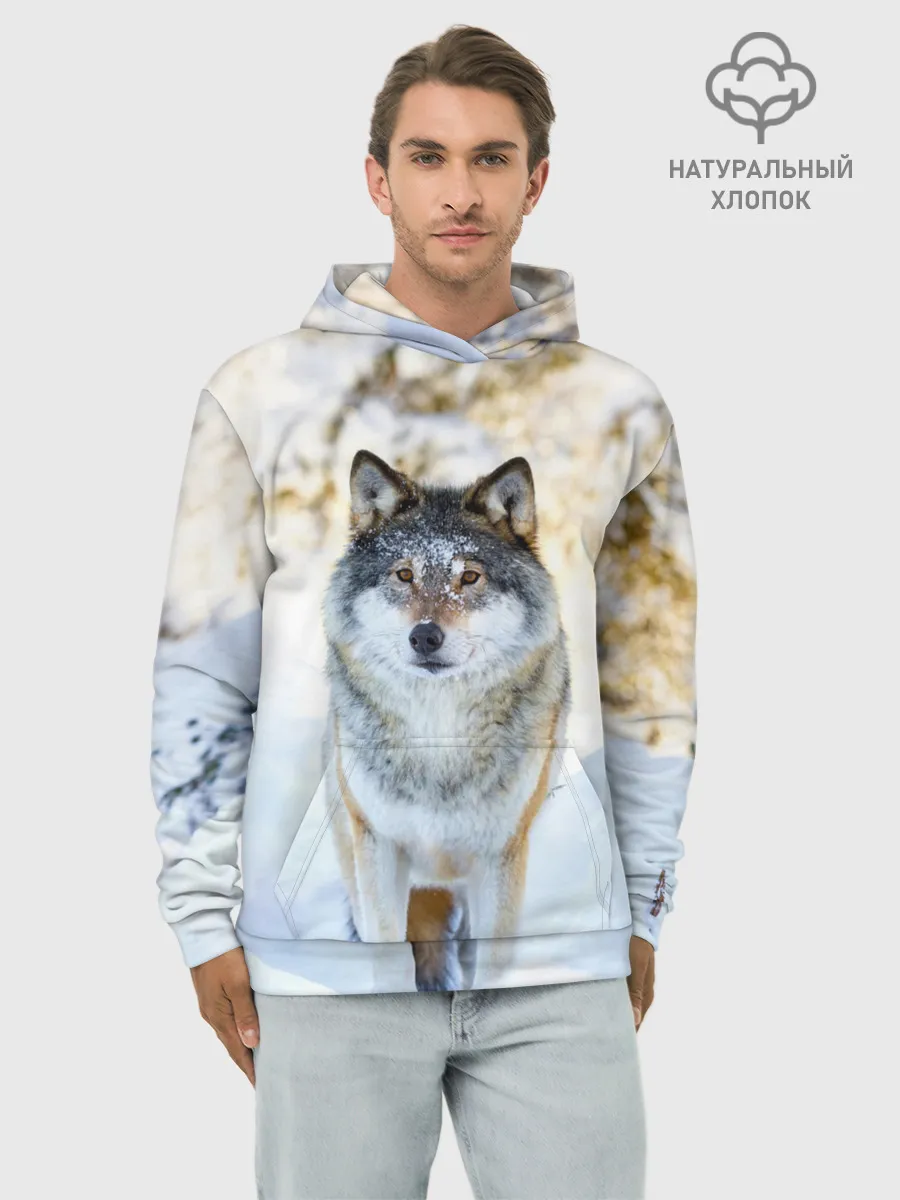Худи мужской база хлопок / Я зимой
