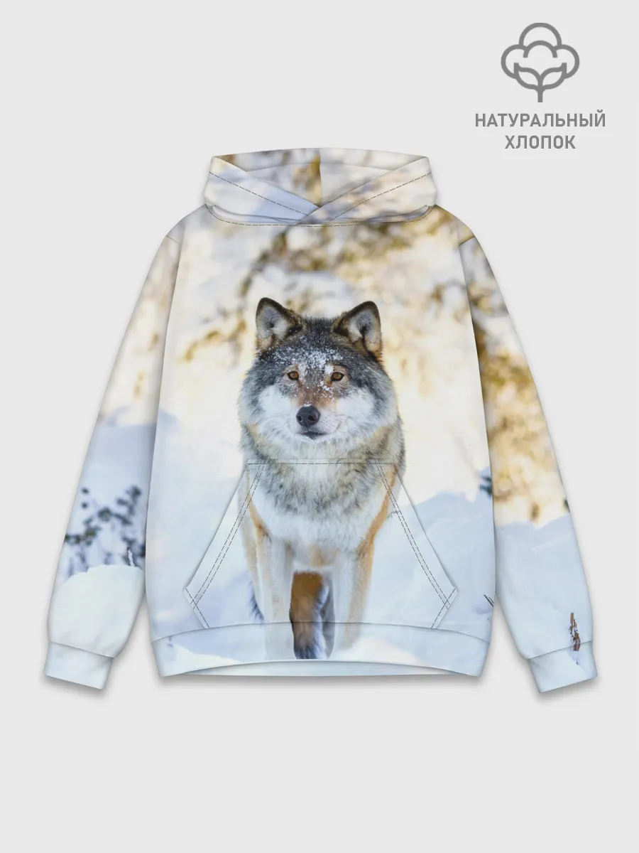 Худи мужской база хлопок / Я зимой