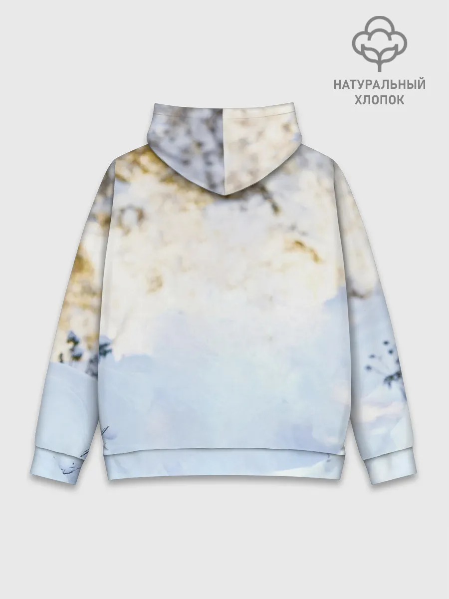 Худи мужской база хлопок / Я зимой