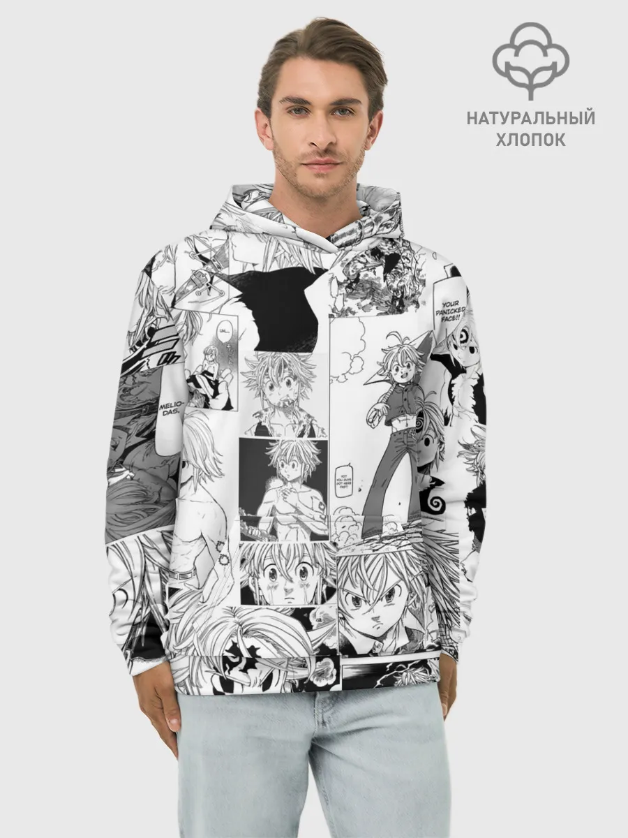 Худи мужской база хлопок / Мелиодас