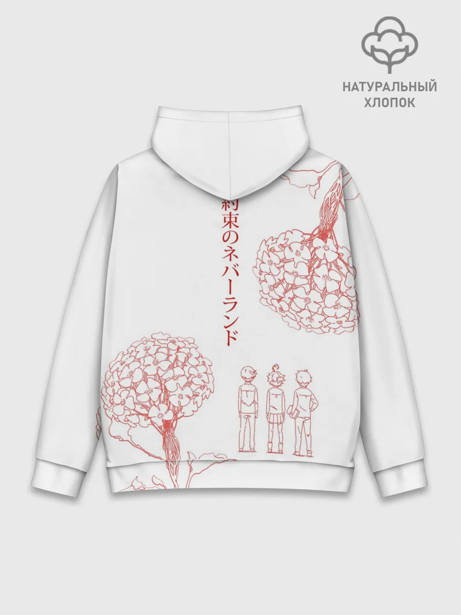 Худи мужской база хлопок / Обещанный Неверленд
