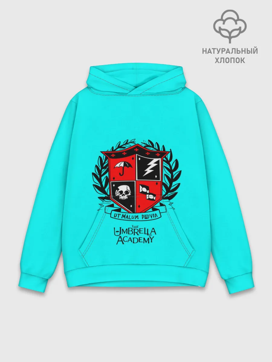 Худи мужской база хлопок / Академия Амбрелла