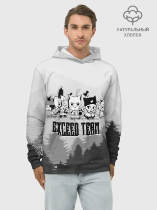 Худи мужской база хлопок / Exceed Team