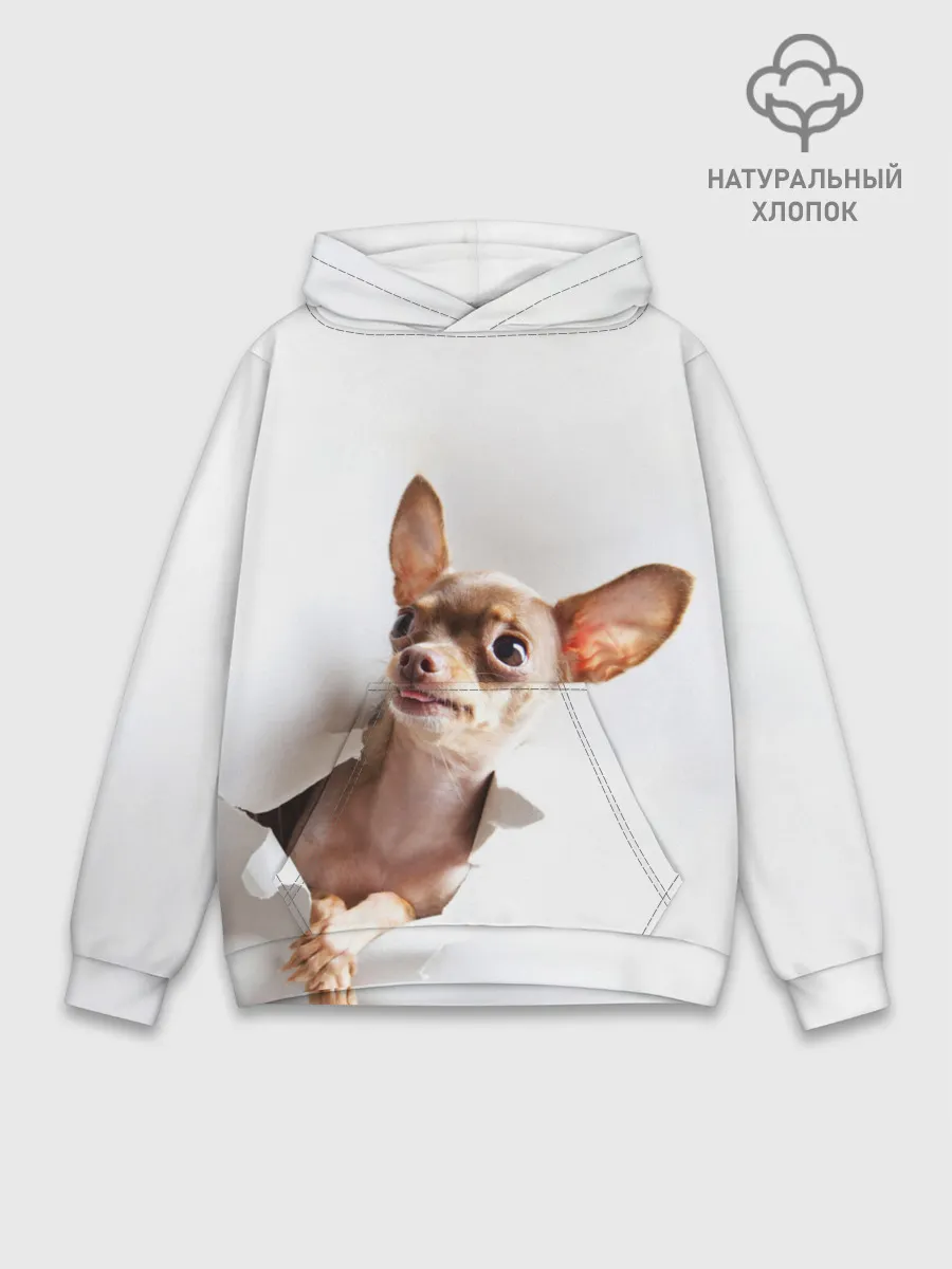Худи мужской база хлопок / Чихуахуа из бумаги вылазит