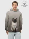 Худи мужской база хлопок / Сиамский кот голубые глаза