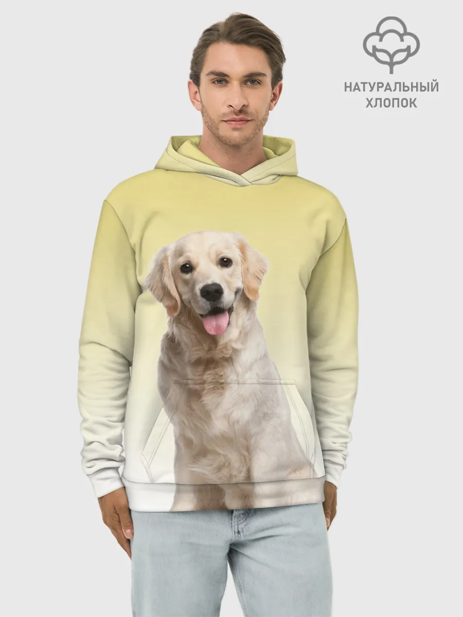 Худи мужской база хлопок / Лабрадор ретривер пес