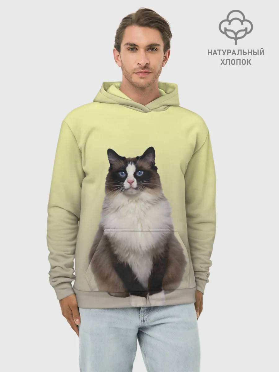 Худи мужской база хлопок / персидская пушистая кошка