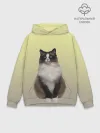 Худи мужской база хлопок / персидская пушистая кошка