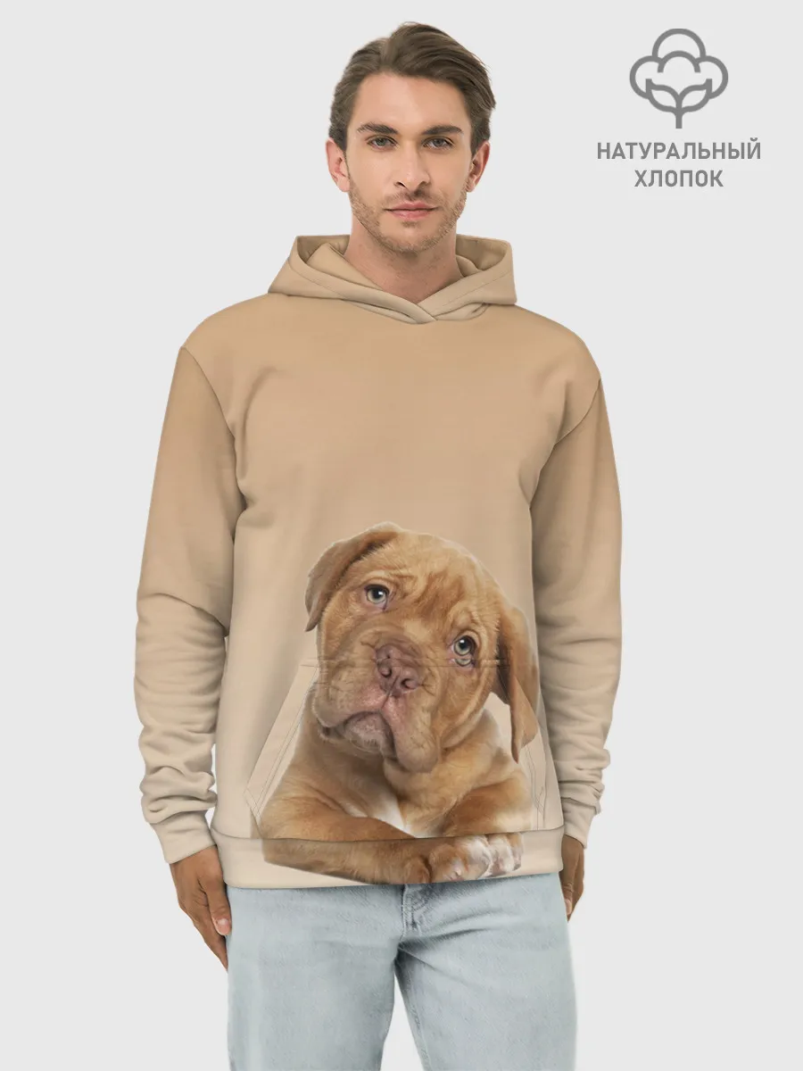 Худи мужской база хлопок / питбуль
