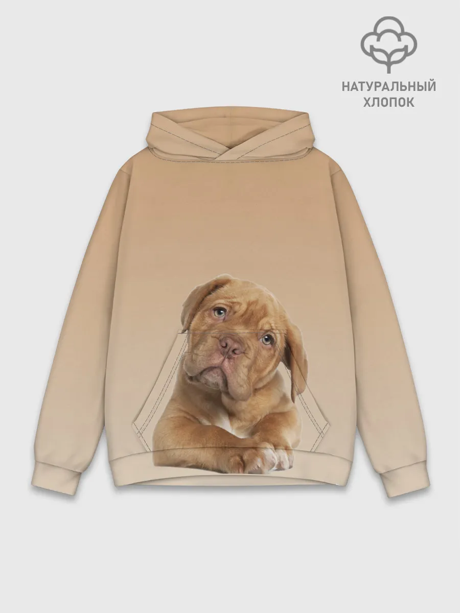 Худи мужской база хлопок / питбуль