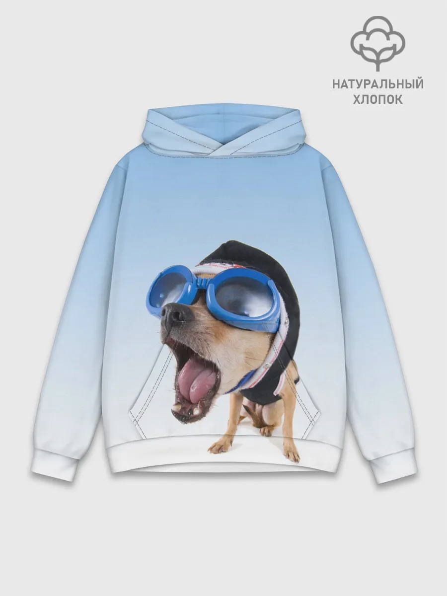 Худи мужской база хлопок / собака в очках