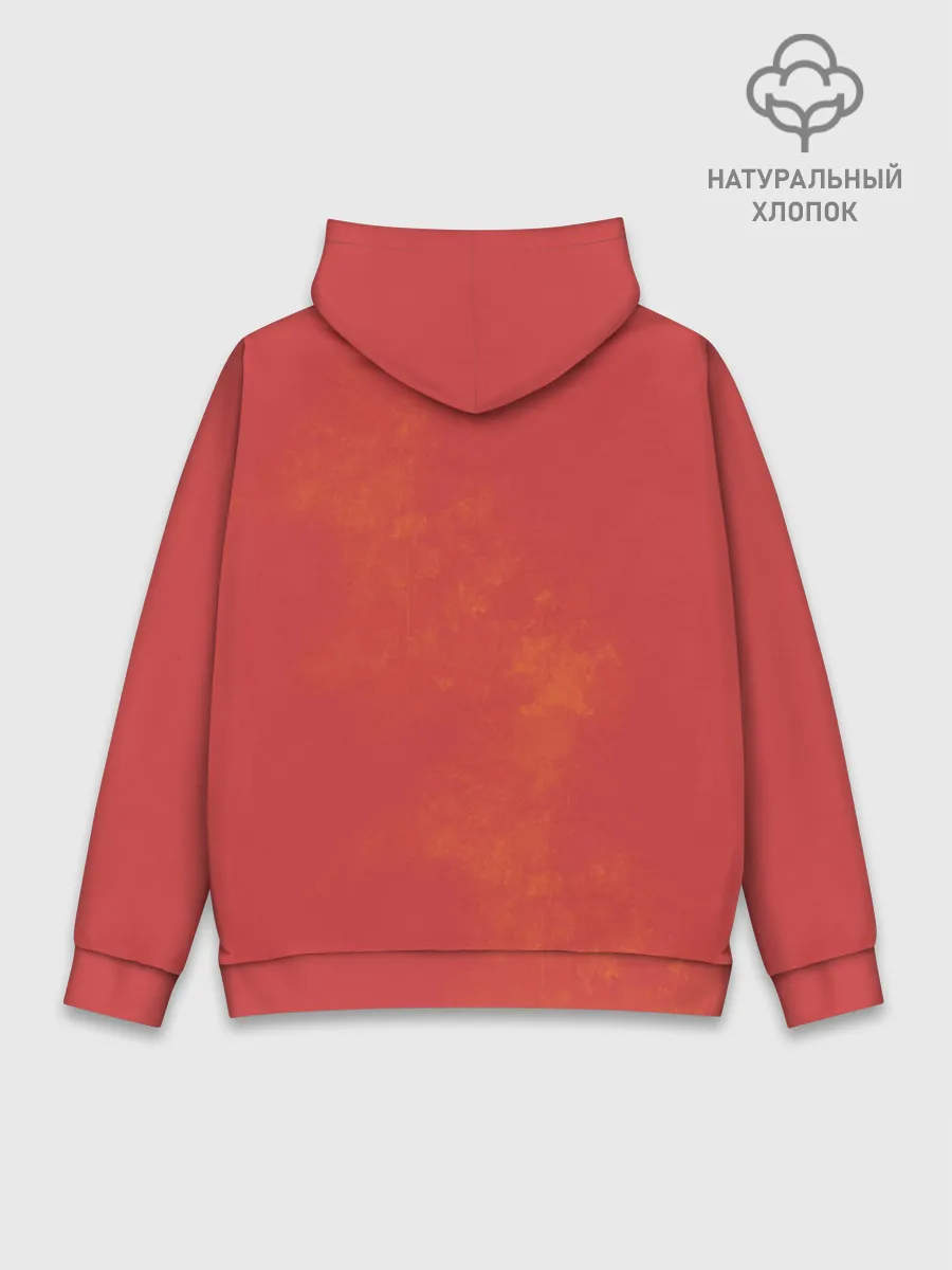 Худи мужской база хлопок / Asuka Eva hot