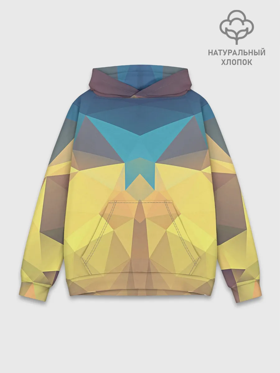 Худи мужской база хлопок / Абстрактная Геометрия