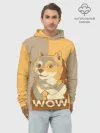 Худи мужской база хлопок / Doge Wow