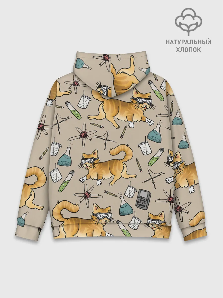 Худи мужской база хлопок / Котики и колбы