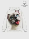 Худи мужской база хлопок / Котик