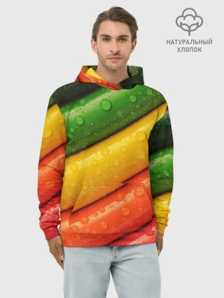 Худи мужской база хлопок / Цветные линии