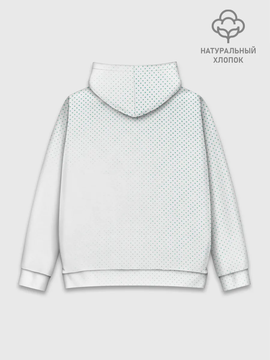 Худи мужской база хлопок / Пятый из Академии