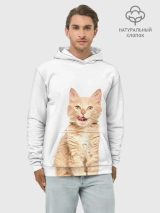 Худи мужской база хлопок / Кошечка