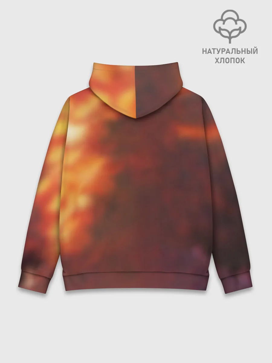 Худи мужской база хлопок / Шаман Кинг