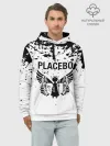 Худи мужской база хлопок / placebo