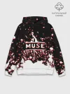 Худи мужской база хлопок / muse.