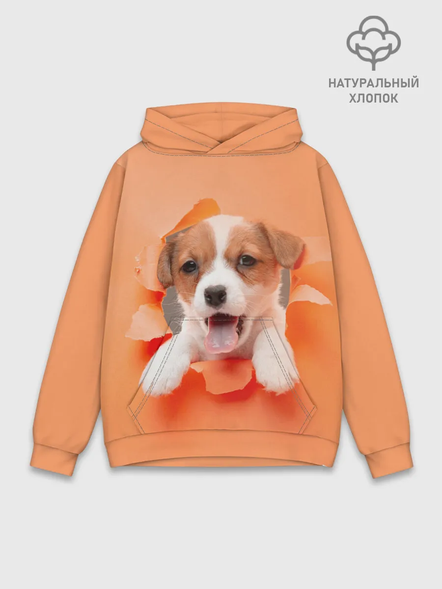 Худи мужской база хлопок / Собака