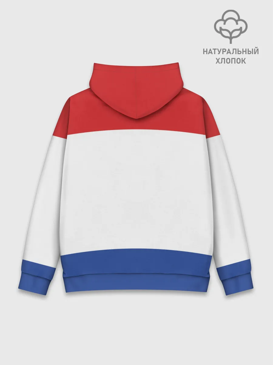 Худи мужской база хлопок / Мордовия