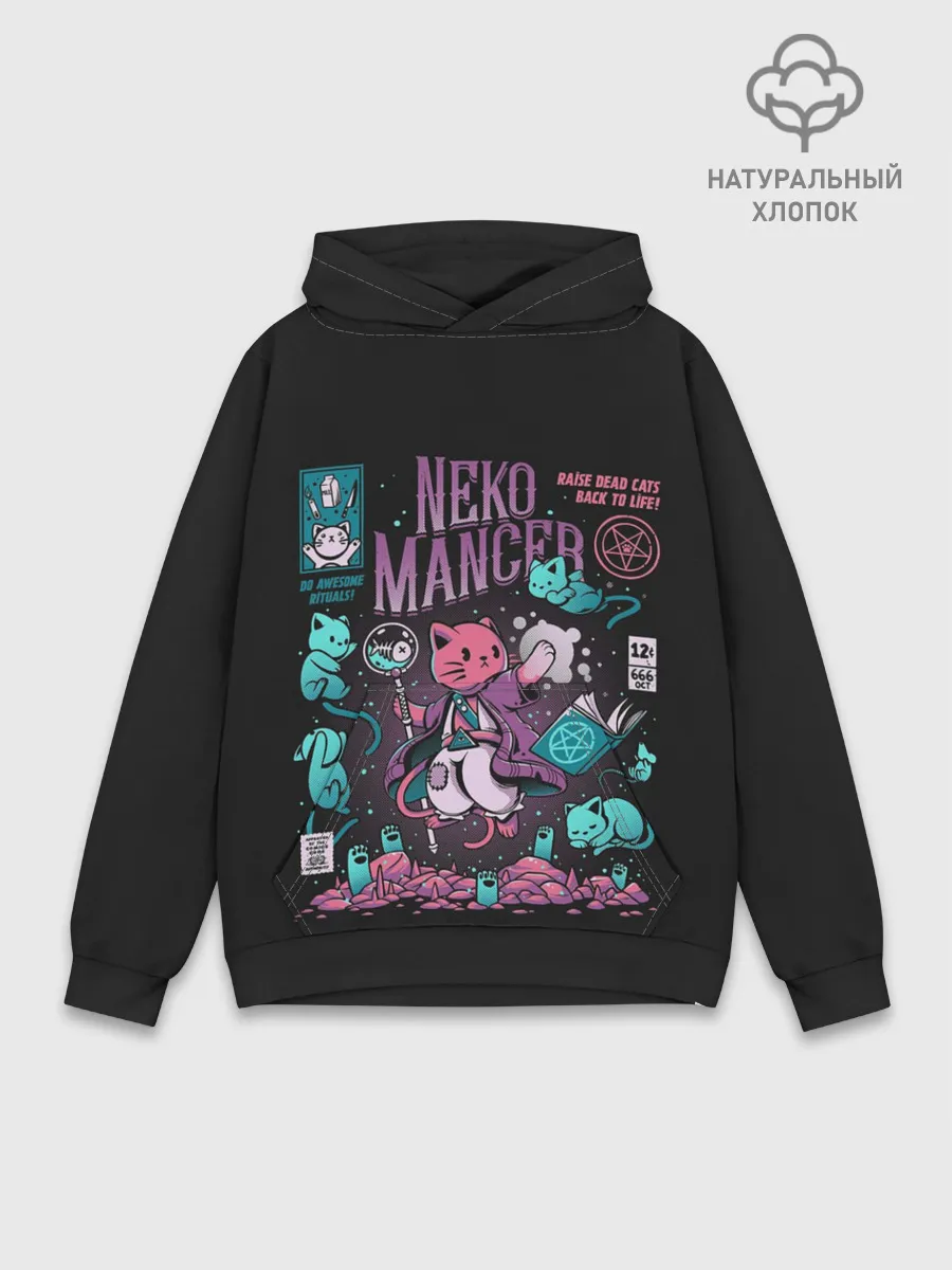 Худи мужской база хлопок / Cat Necromancer