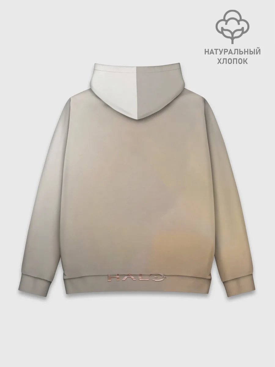 Худи мужской база хлопок / Spartan in hell | Halo