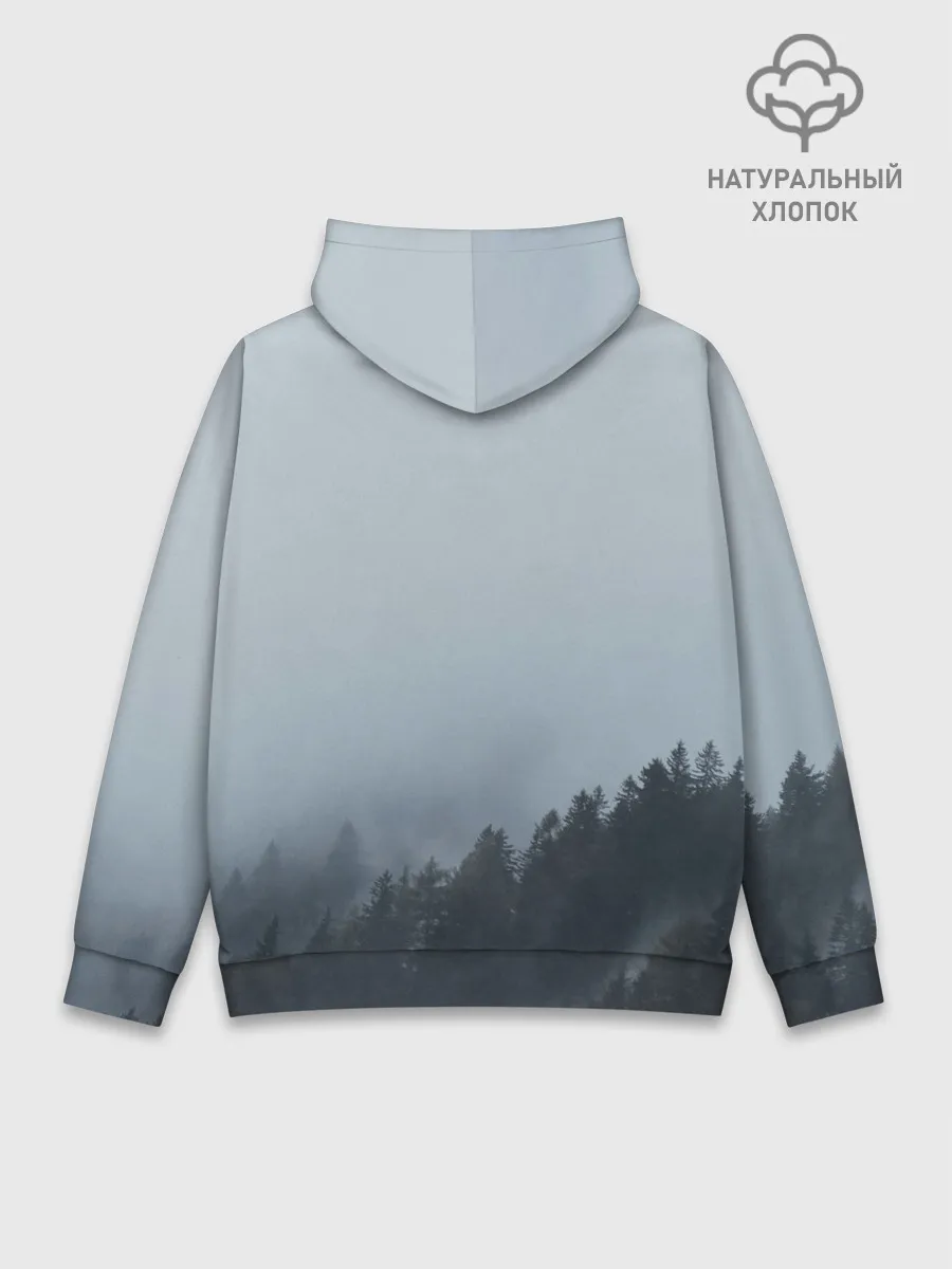 Худи мужской база хлопок / Атмосфера
