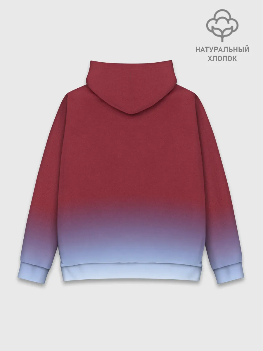 Худи мужской база хлопок / Акира