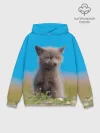 Худи мужской база хлопок / Смешной лисенок