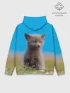 Худи мужской база хлопок / Смешной лисенок