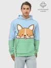 Худи мужской база хлопок / Милый Корги