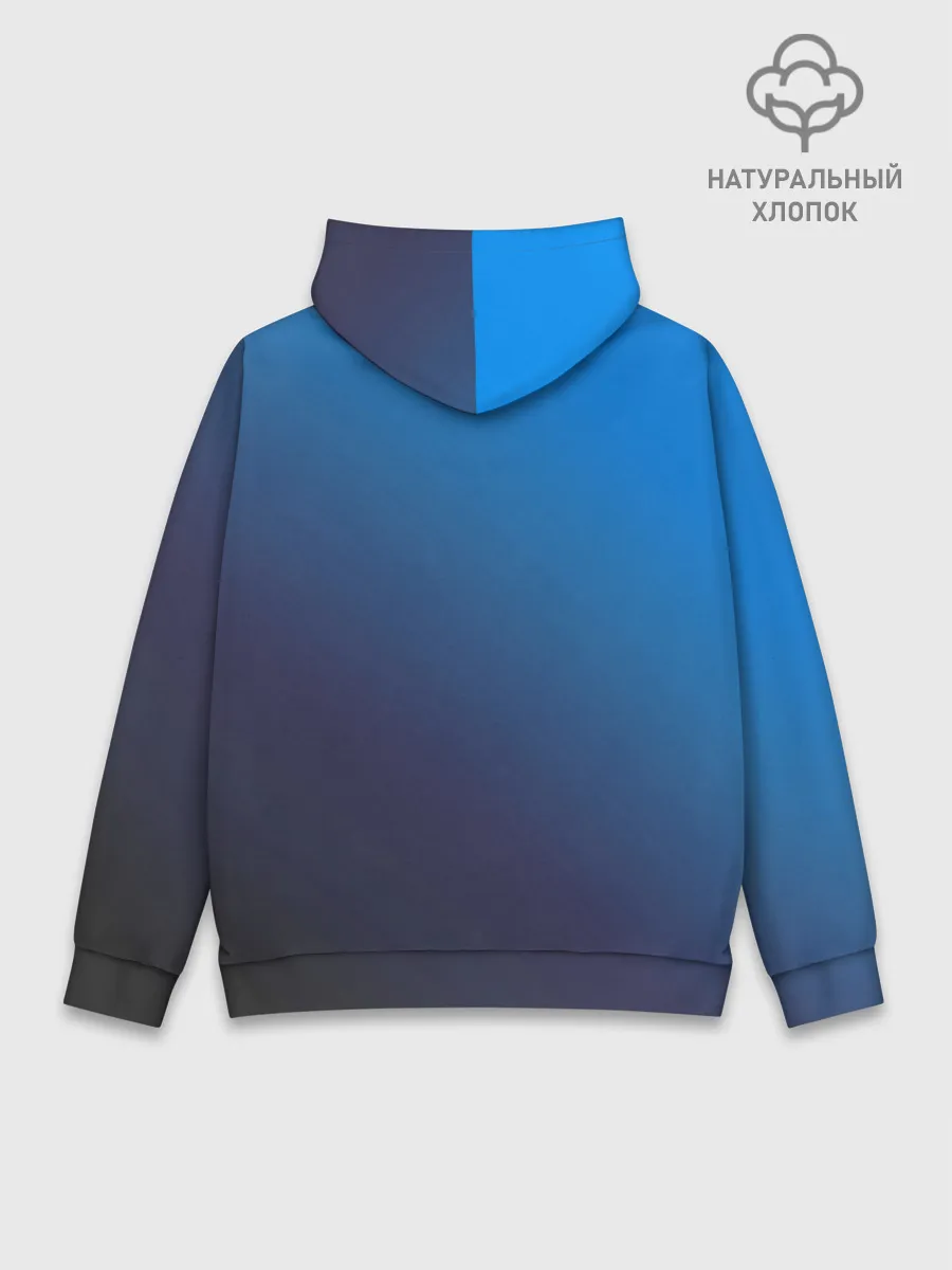 Худи мужской база хлопок / Сборная Франции