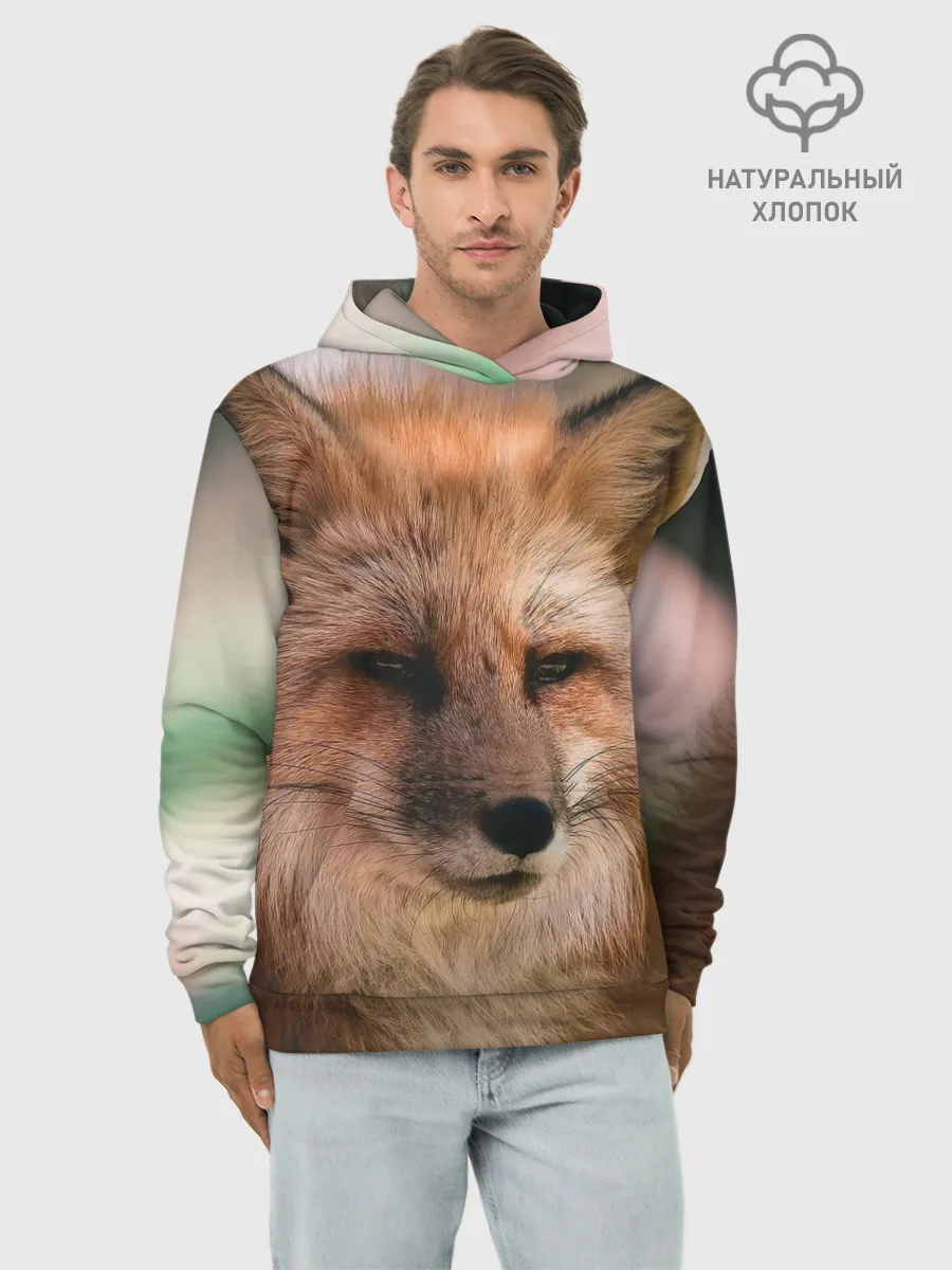 Худи мужской база хлопок / Строгая лисица