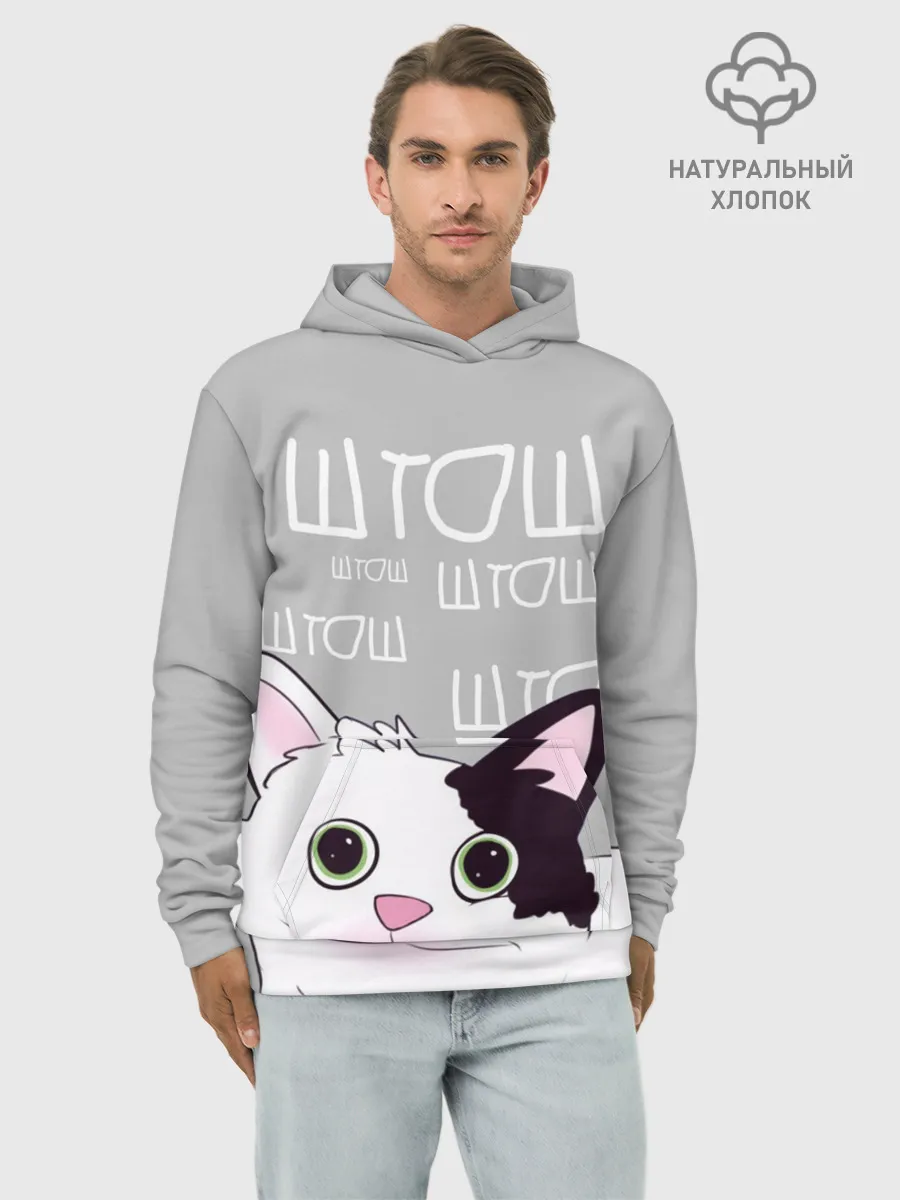 Худи мужской база хлопок / штош