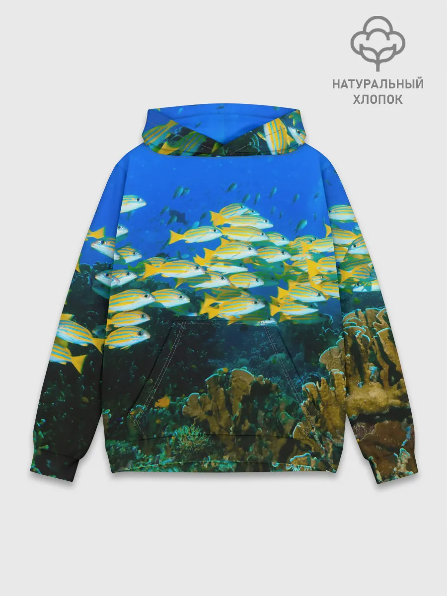 Худи мужской база хлопок / Коралловые рыбки