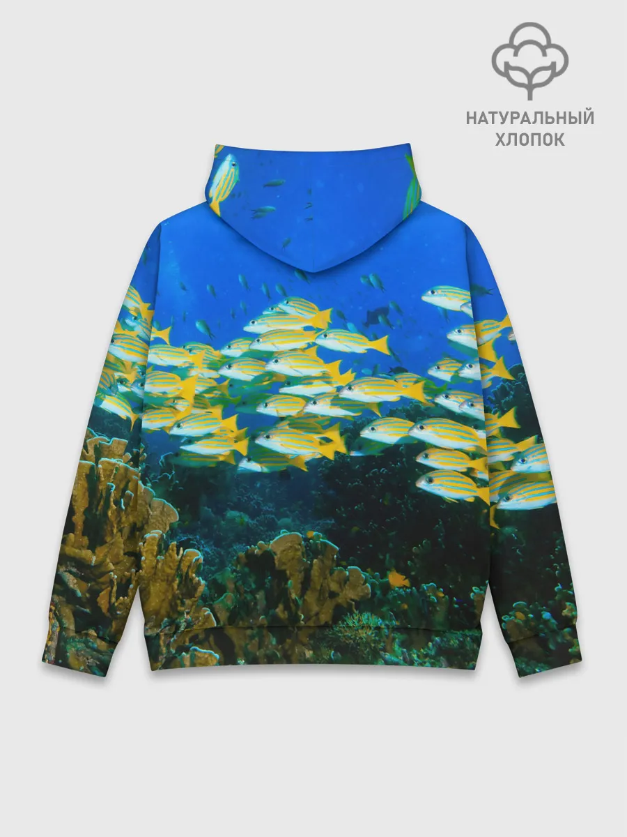 Худи мужской база хлопок / Коралловые рыбки
